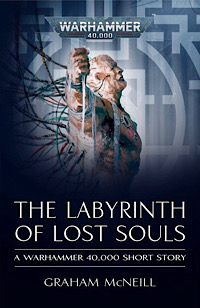 The Labyrinth of Lost Souls Book Cover